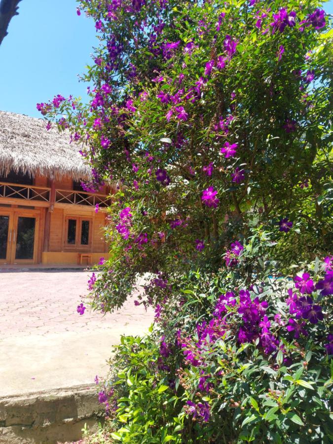 Flower Hmong Homestay Бак Ха Екстериор снимка