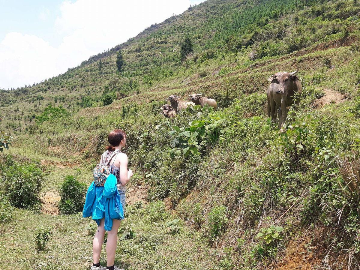 Flower Hmong Homestay Бак Ха Екстериор снимка