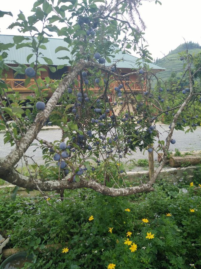 Flower Hmong Homestay Бак Ха Екстериор снимка