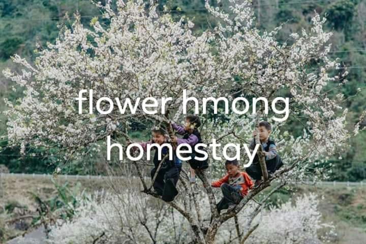 Flower Hmong Homestay Бак Ха Екстериор снимка