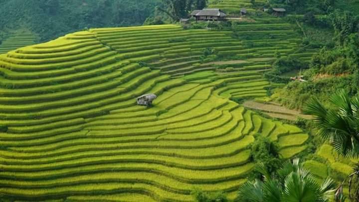 Flower Hmong Homestay Бак Ха Екстериор снимка